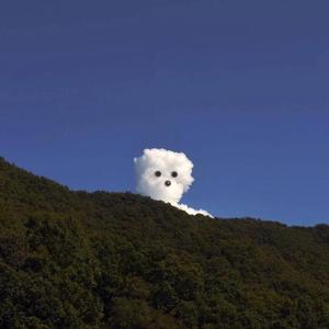 叙利亚女人逼逼视频
