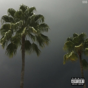 叙利亚女人逼逼视频
