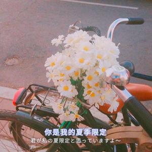 叙利亚女人逼逼视频
